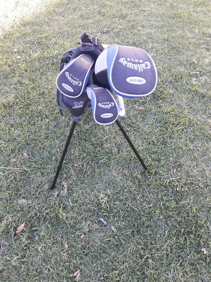Set de palos de golf junior