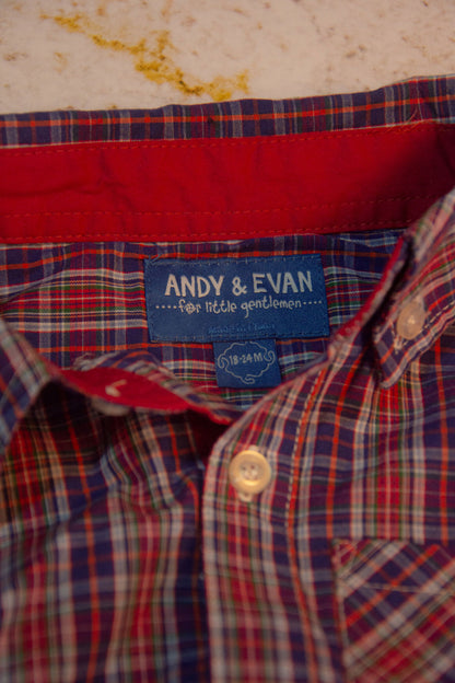 Body Camisa